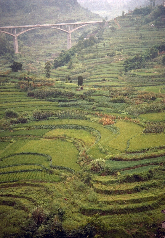 Yangtze, three gorges, Hubei China 10.jpg - Yangtze, three gorges